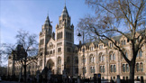 welondres - week-end a londres - musee d histoire naturelle