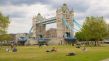 Londres, Tower Bridge