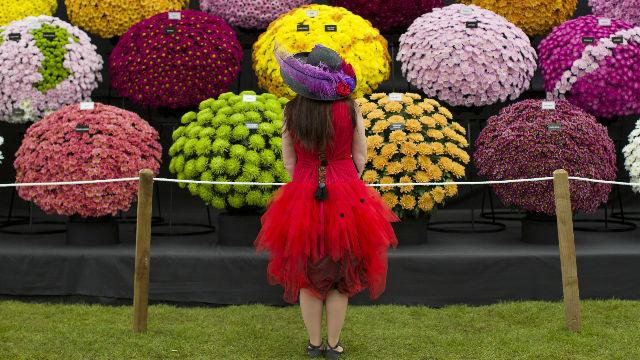 Chelsea Flower Show; week-end londres; welondres; wee-end à londres